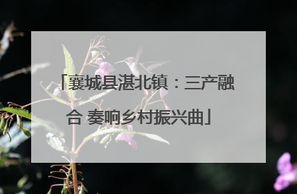 襄城县湛北镇：三产融合 奏响乡村振兴曲