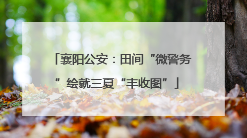 襄阳公安：田间“微警务”绘就三夏“丰收图”