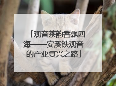 观音茶韵香飘四海——安溪铁观音的产业复兴之路