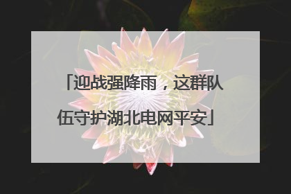 迎战强降雨，这群队伍守护湖北电网平安
