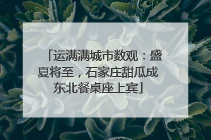 运满满城市数观：盛夏将至，石家庄甜瓜成东北餐桌座上宾