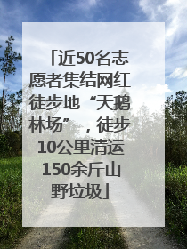 近50名志愿者集结网红徒步地“天鹅林场”，徒步10公里清运150余斤山野垃圾