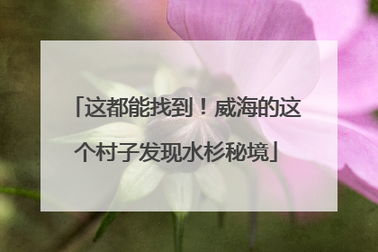 这都能找到！威海的这个村子发现水杉秘境