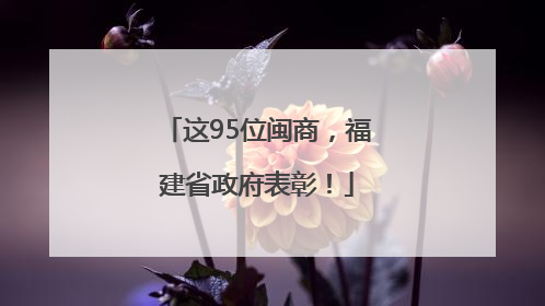 这95位闽商，福建省政府表彰！