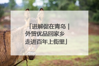 进解促在青岛｜外贸优品回家乡 走进百年上街里