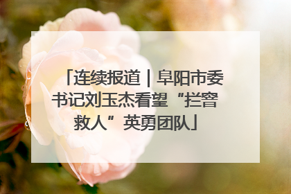 连续报道｜阜阳市委书记刘玉杰看望“拦窨救人”英勇团队
