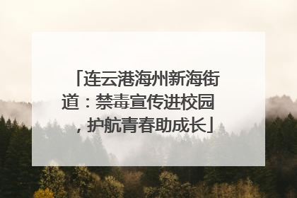 连云港海州新海街道：禁毒宣传进校园，护航青春助成长