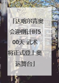 达喀尔青奥会迎倒计时500天 武术将正式登上奥运舞台