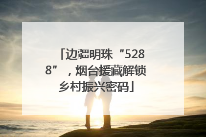 边疆明珠“5288”，烟台援藏解锁乡村振兴密码