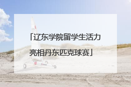 辽东学院留学生活力亮相丹东匹克球赛