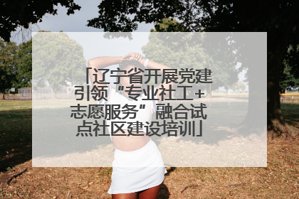 辽宁省开展党建引领“专业社工+志愿服务”融合试点社区建设培训