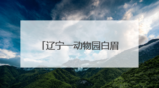 辽宁一动物园白眉长臂猿猴高考期间不对外展出，园方：它们一高兴就喜欢鸣叫，怕影响考试