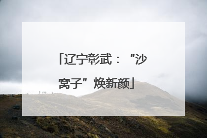 辽宁彰武：“沙窝子”焕新颜