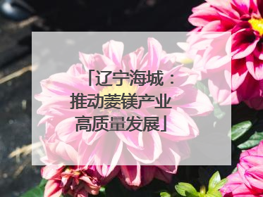 辽宁海城：推动菱镁产业高质量发展