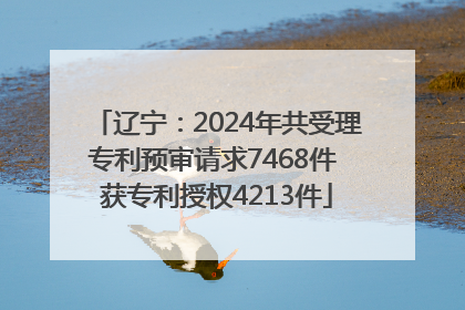辽宁：2024年共受理专利预审请求7468件 获专利授权4213件
