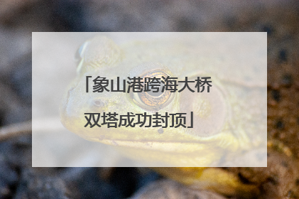 象山港跨海大桥双塔成功封顶