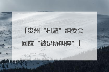 贵州“村超”组委会回应“被足协叫停”