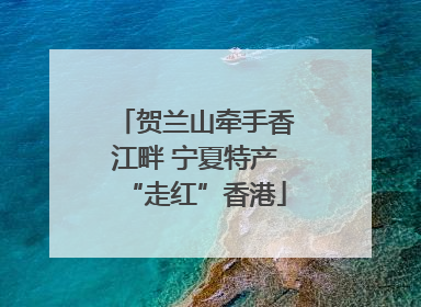 贺兰山牵手香江畔 宁夏特产“走红”香港