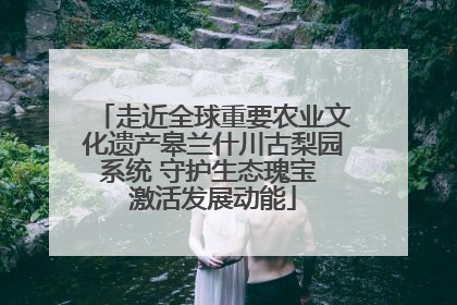 走近全球重要农业文化遗产皋兰什川古梨园系统 守护生态瑰宝 激活发展动能