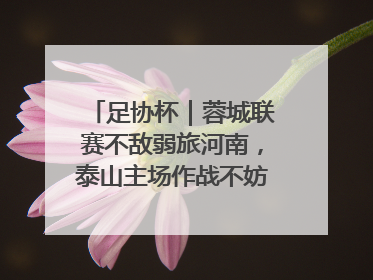 足协杯｜蓉城联赛不敌弱旅河南，泰山主场作战不妨“抄作业”