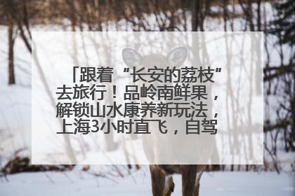 跟着“长安的荔枝”去旅行！品岭南鲜果，解锁山水康养新玩法，上海3小时直飞，自驾高速费优惠
