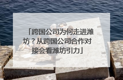跨国公司为何走进潍坊？从跨国公司合作对接会看潍坊引力