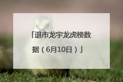 退市龙宇龙虎榜数据（6月10日）