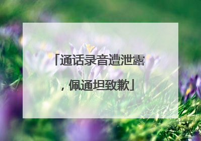 通话录音遭泄露，佩通坦致歉