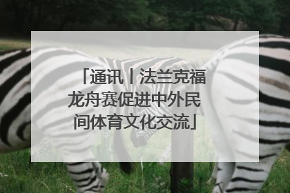 通讯丨法兰克福龙舟赛促进中外民间体育文化交流