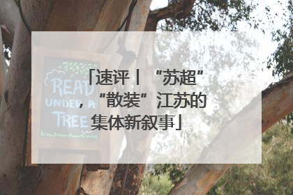 速评丨“苏超”，“散装”江苏的集体新叙事