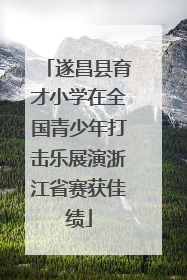 遂昌县育才小学在全国青少年打击乐展演浙江省赛获佳绩
