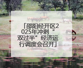 邵阳经开区2025年冲刺“双过半”经济运行调度会召开