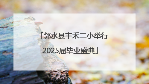 邻水县丰禾二小举行2025届毕业盛典
