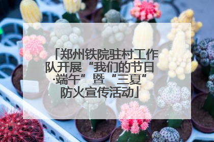 郑州铁院驻村工作队开展“我们的节日·端午”暨“三夏”防火宣传活动