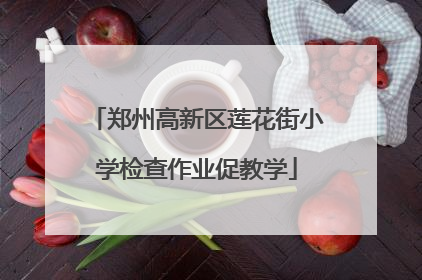 郑州高新区莲花街小学检查作业促教学