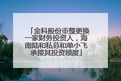 金科股份重整更换一家财务投资人，海南陆和私募和单小飞承接其投资额度