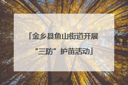 金乡县鱼山街道开展“三防”护苗活动