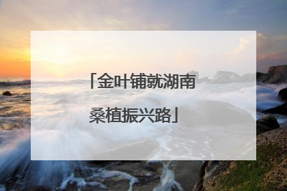 金叶铺就湖南桑植振兴路