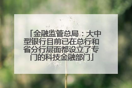 金融监管总局：大中型银行目前已在总行和省分行层面都设立了专门的科技金融部门