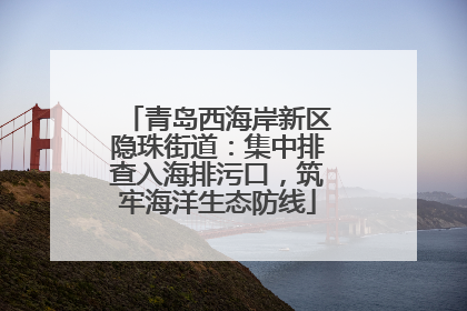 青岛西海岸新区隐珠街道：集中排查入海排污口，筑牢海洋生态防线