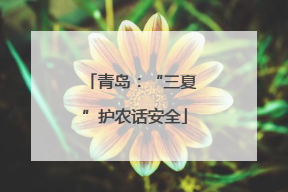 青岛：“三夏”护农话安全