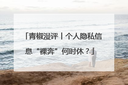 青椒漫评丨个人隐私信息“裸奔”何时休？