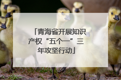 青海省开展知识产权“五个一”三年攻坚行动
