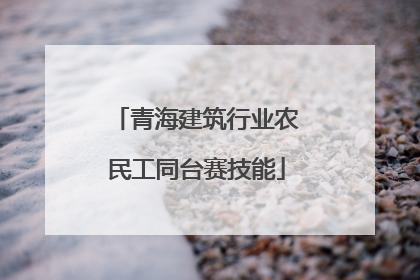 青海建筑行业农民工同台赛技能