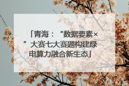 青海：“数据要素×”大赛七大赛题构建绿电算力融合新生态