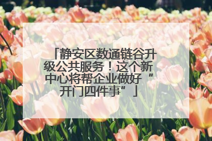 静安区数通链谷升级公共服务！这个新中心将帮企业做好“开门四件事”