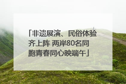 非遗展演、民俗体验齐上阵 两岸80名同胞青春同心映端午