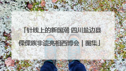 针线上的新国潮 四川盐边县傈僳族非遗亮相西博会｜图集