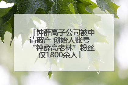 钟薛高子公司被申请破产 创始人账号“钟薛高老林”粉丝仅1800余人