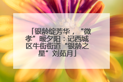 银龄绽芳华，“微孝”暖夕阳：记西城区牛街街道“银龄之星”刘茹月